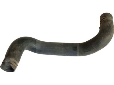 Ford YL8Z-8286-BE Lower Hose