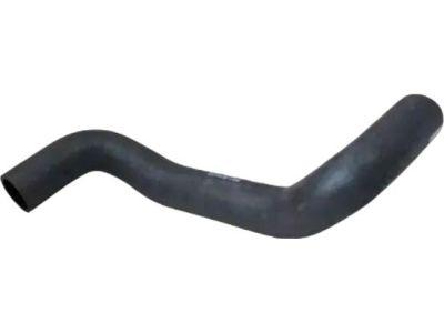Ford YL8Z-8286-BE Lower Hose