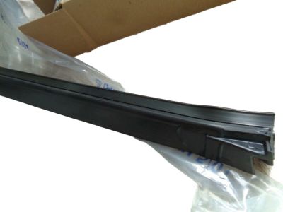 Ford 2W1Z-5420569-AA Belt Weatherstrip