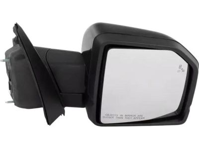 Ford JL3Z-17682-SCPTM Mirror