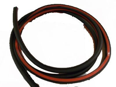 Ford BM5Z-5820708-D Door Weatherstrip