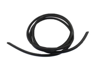 Ford BM5Z-5820708-D Door Weatherstrip