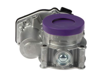 Ford DS7Z-9E926-D Throttle Body