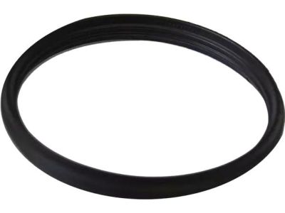 Ford F87Z-8255-AA Thermostat Gasket