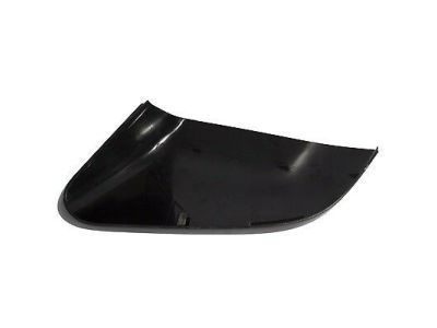 Ford DP5Z-17D742-AAPTM Mirror Cover