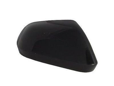 Ford DP5Z-17D742-AAPTM Mirror Cover