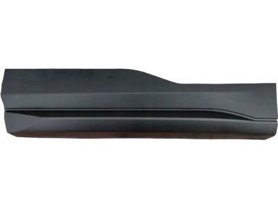 Ford FT4Z-5825557-DC Lower Molding