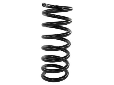 Ford HG9Z-5560-D Coil Spring