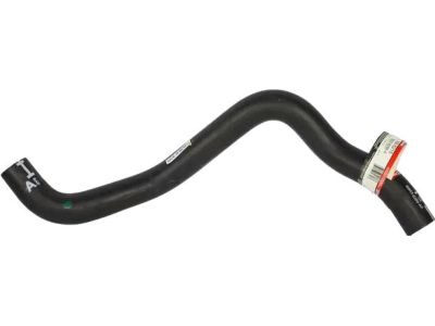 Ford BB5Z-8286-G Lower Hose