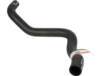 Ford BB5Z-8286-G Lower Hose