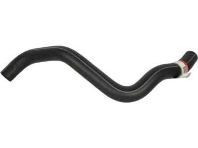 Ford BB5Z-8286-G Lower Hose