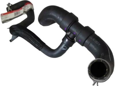 Ford 9E5Z-8286-F Lower Hose