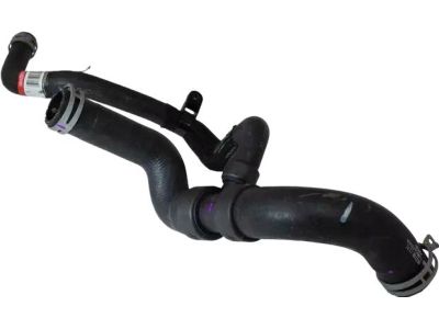 Ford 9E5Z-8286-F Lower Hose