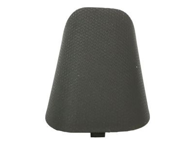 Ford FL3Z-1531458-AC Weatherstrip Pillar Trim Cap