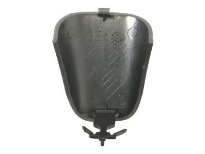 Ford FL3Z-1531458-AC Weatherstrip Pillar Trim Cap