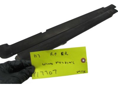 Ford YL3Z-7821452-BA Belt Weatherstrip