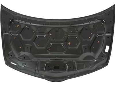 Ford BA1Z-16612-A Hood