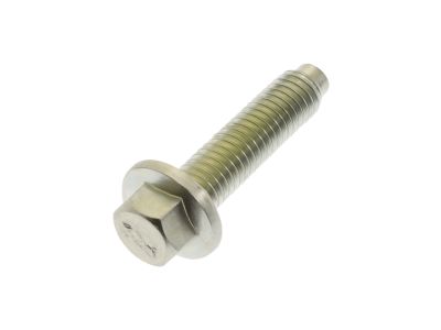 Ford -W716607-S437 Coil Screw
