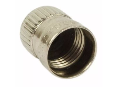 Ford DR3Z-1A163-A Cap