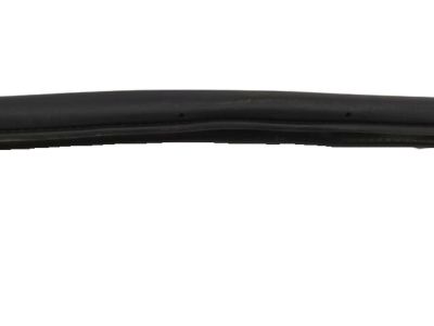 Ford GP5Z-54253A10-A Weatherstrip On Body
