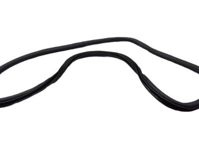 Ford GP5Z-54253A10-A Weatherstrip On Body