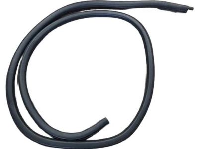 Ford GP5Z-54253A10-A Weatherstrip On Body