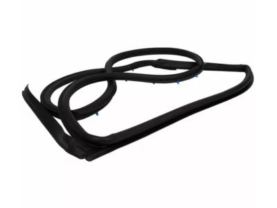 Ford CE8Z-58253A11-F Door Weatherstrip