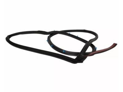 Ford CE8Z-58253A11-F Door Weatherstrip