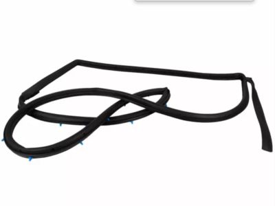 Ford CE8Z-58253A11-F Door Weatherstrip