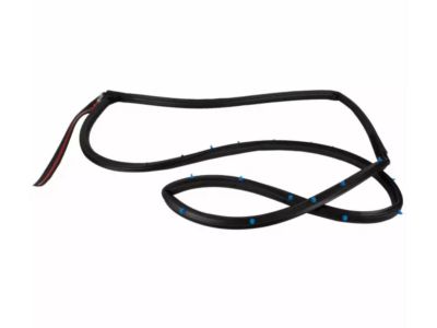 Ford CE8Z-58253A11-F Door Weatherstrip