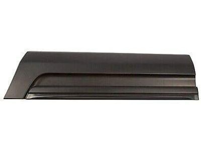 Ford BB5Z-7825557-AA Lower Molding