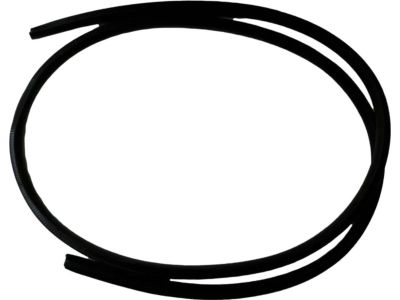 Ford AG1Z-5420708-AA Weatherstrip On Body