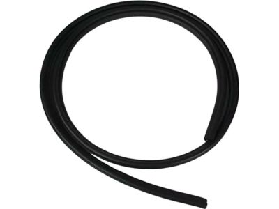 Ford AG1Z-5420708-AA Weatherstrip On Body