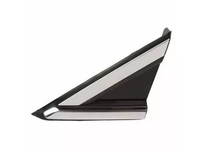 Ford EJ7Z-16003-BA Upper Molding