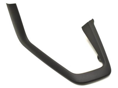 Ford F1EZ-5813562-BN Trim Bezel