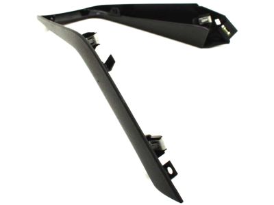 Ford F1EZ-5813562-BN Trim Bezel