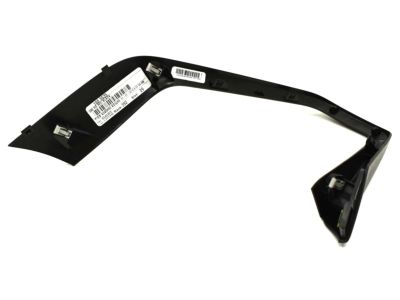 Ford F1EZ-5813562-BN Trim Bezel