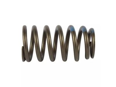 Ford BC3Z-6513-A Valve Springs