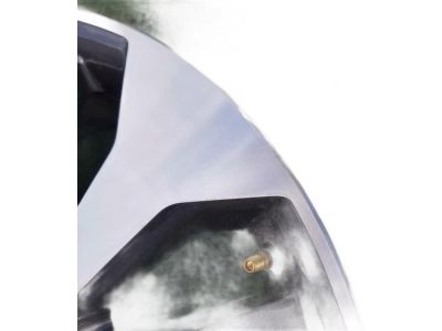 Ford HL3Z-1007-C Wheel, Alloy