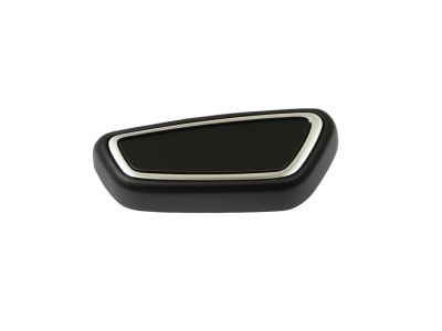 Ford DG9Z-14711-AM Seat Switch Knob