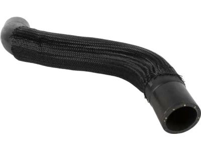 Ford CT4Z-8286-A Lower Hose