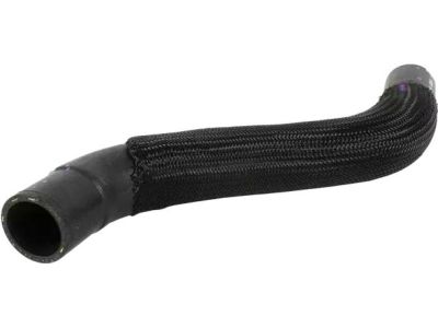 Ford CT4Z-8286-A Lower Hose