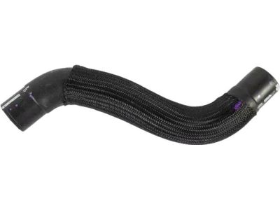 Ford CT4Z-8286-A Lower Hose