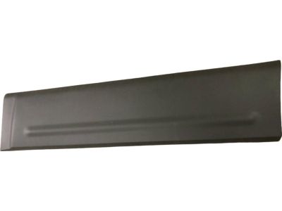 Ford 4L1Z-7820878-AAA Body Side Molding