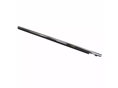 Ford AA8Z-7421453-A Belt Weatherstrip