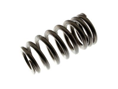 Ford BR3Z-6513-A Valve Springs