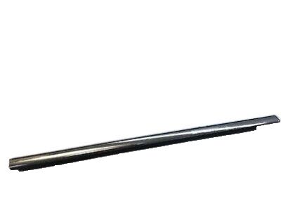 Ford YW1Z-5421452-AB Belt Weatherstrip