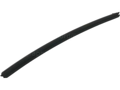 Ford DS7Z-5425861-B Belt Weatherstrip