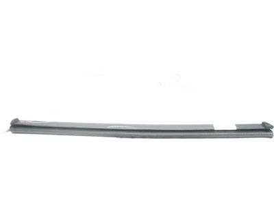 Ford DS7Z-5425861-B Belt Weatherstrip