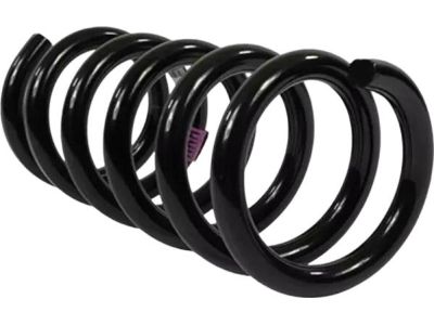 Ford FR3Z-5560-AJ Coil Spring
